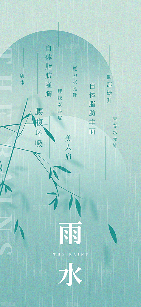 简约风传统二四节气之雨水节气海报