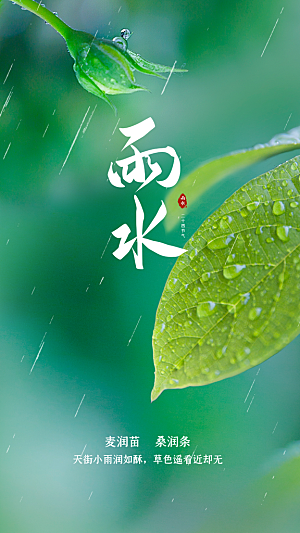 简约风传统二四节气之雨水节气海报