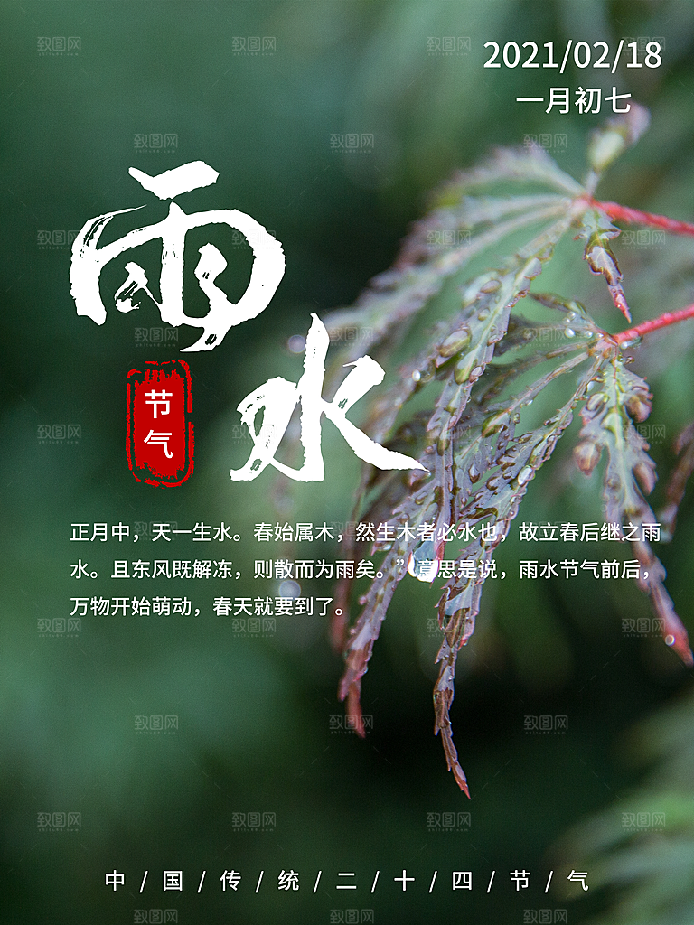 春季简约质感二十四节气雨水海报