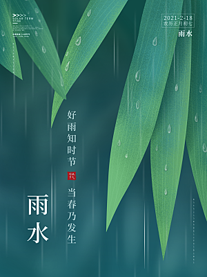 简约风传统二四节气之雨水节气海报