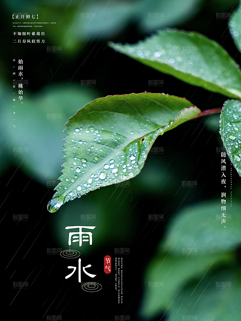 雨水谷雨节气24节气春天春季春日海报