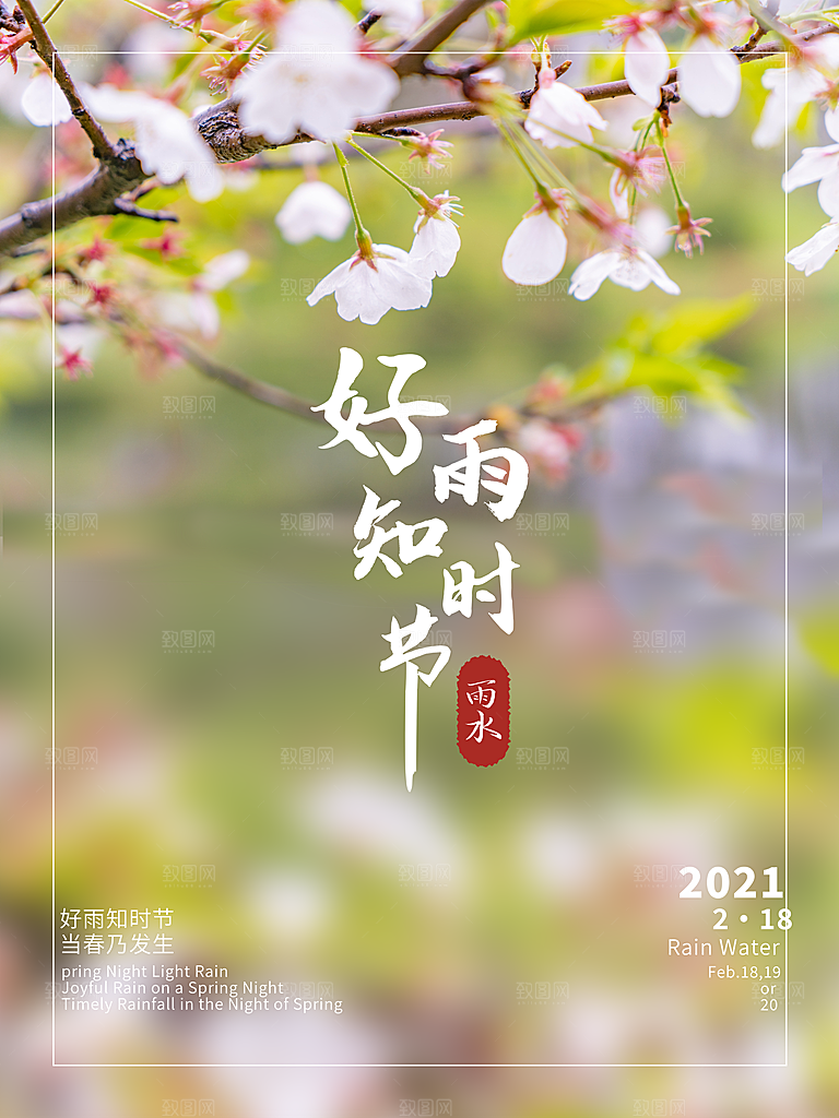 中国传统节气雨水系列海报设计