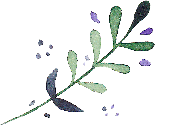 手绘水彩花朵花卉叶子