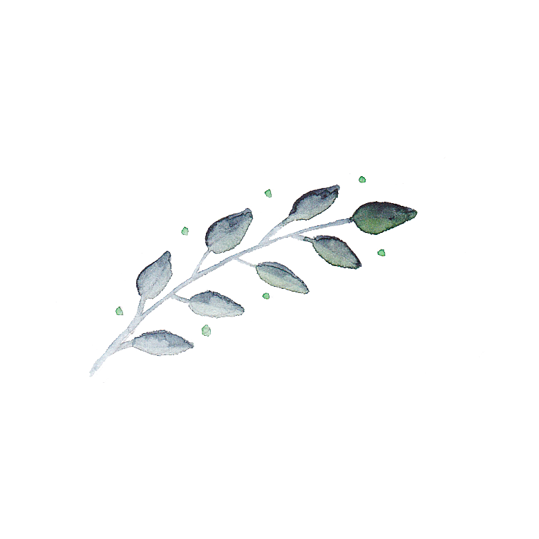 手绘水彩花朵花卉叶子