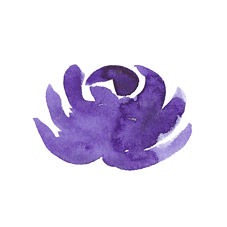 手绘水彩花朵花卉叶子