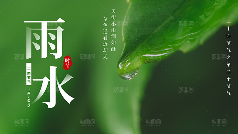 中国传统节气雨水系列海报设计