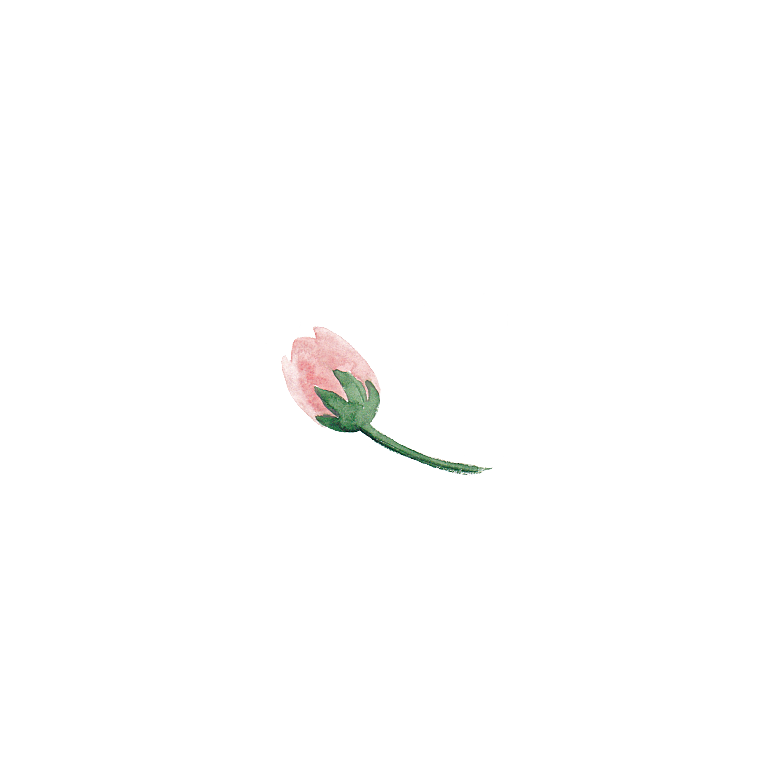 手绘水彩花卉花朵设计素材