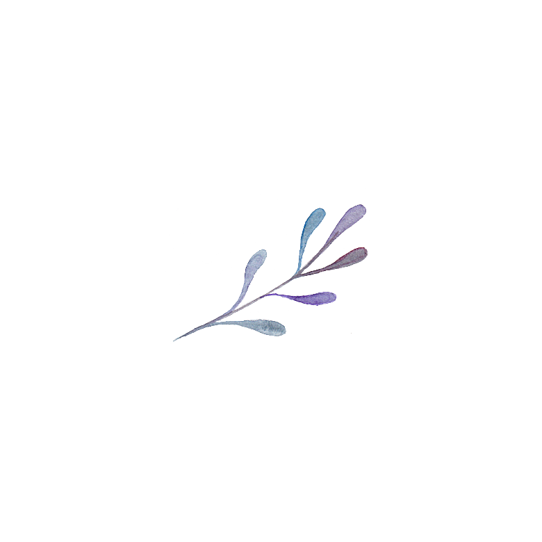 手绘水彩花卉花朵设计素材