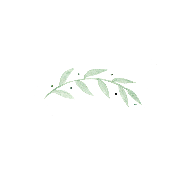手绘水彩花卉花朵设计素材
