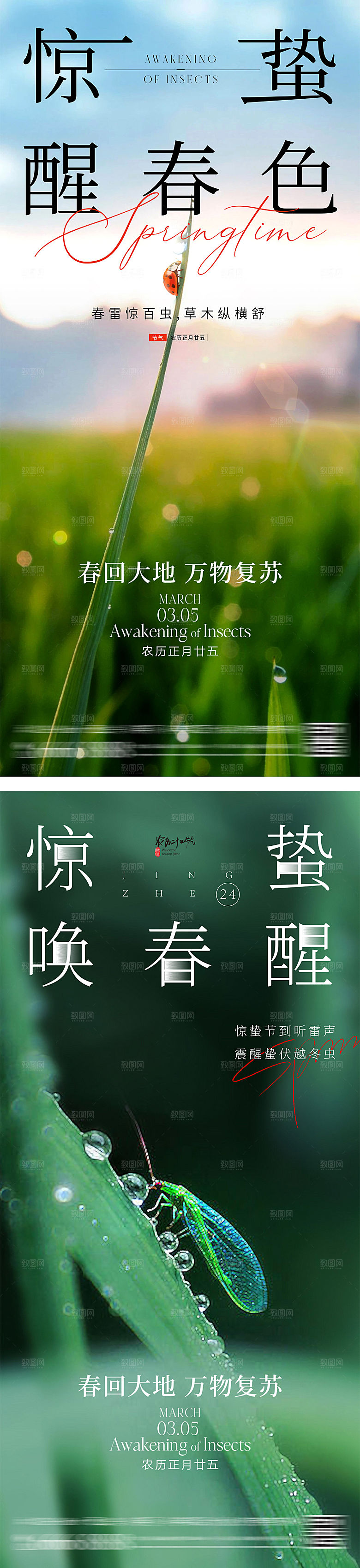 惊蛰简约节气海报