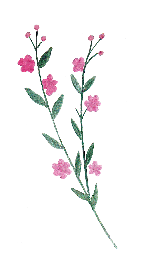 手绘水彩花朵叶子素材
