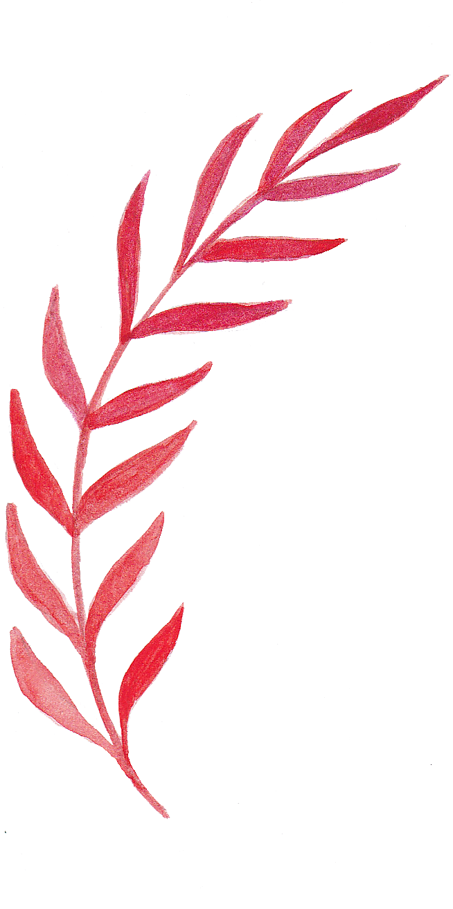 手绘水彩花朵叶子素材