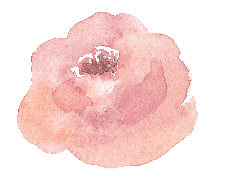 手绘水彩花朵鲜花叶子