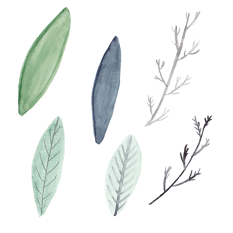手绘水彩花朵鲜花叶子