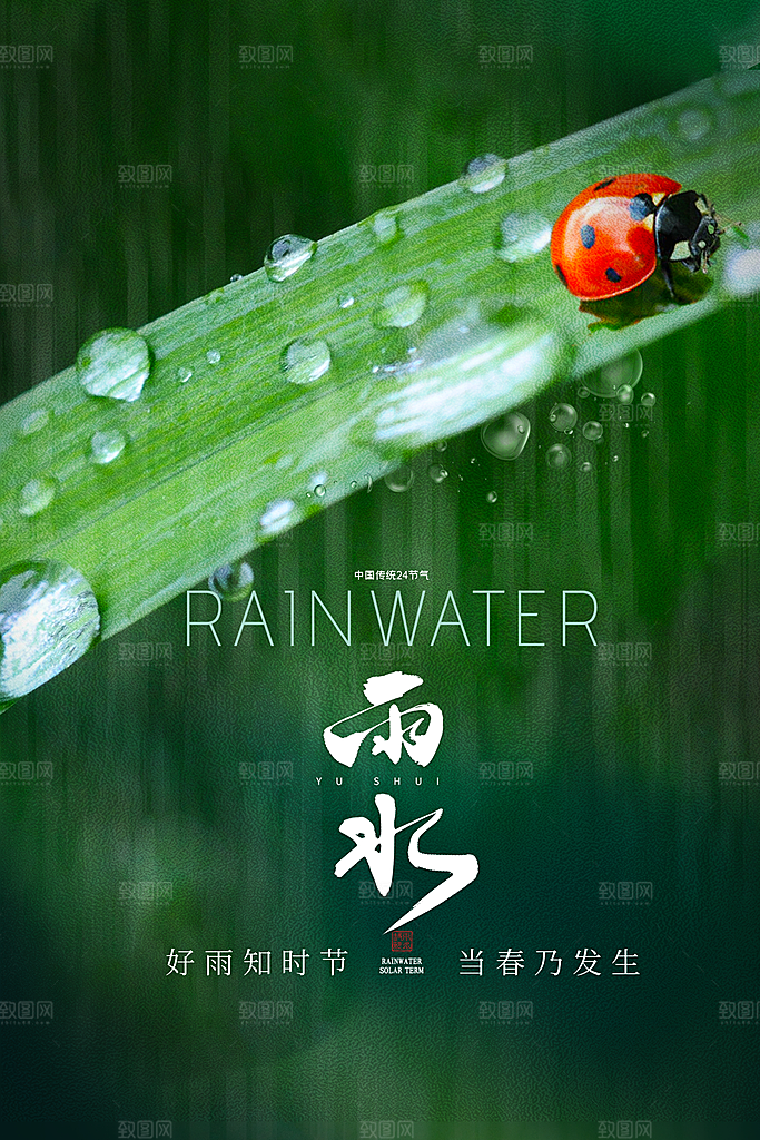 雨水谷雨节气24节气春天春季春日海报