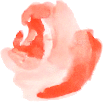 手绘水彩花朵花卉叶子素材