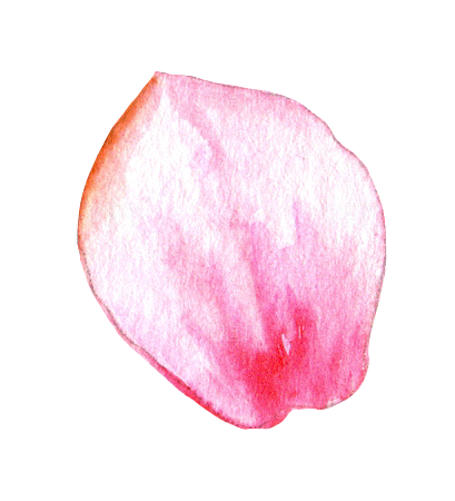 手绘水彩花朵花卉叶子素材