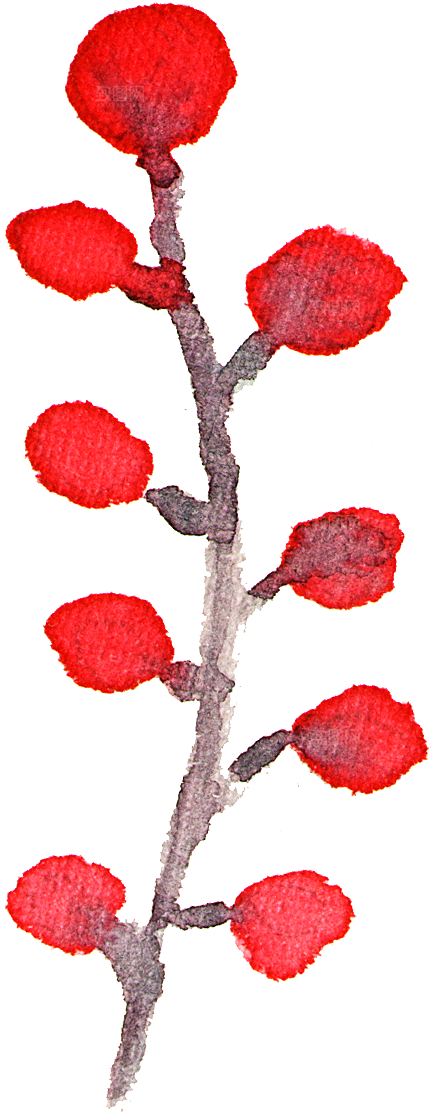 手绘水彩花朵花卉叶子素材