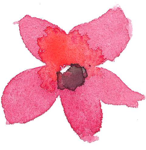 手绘水彩花朵花卉叶子素材