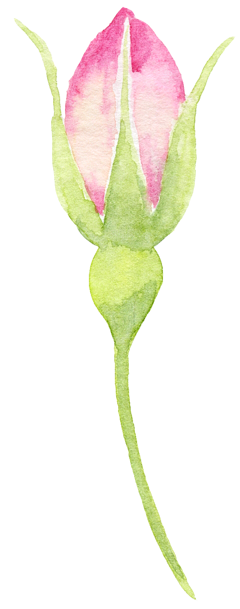 手绘水彩花朵花卉叶子