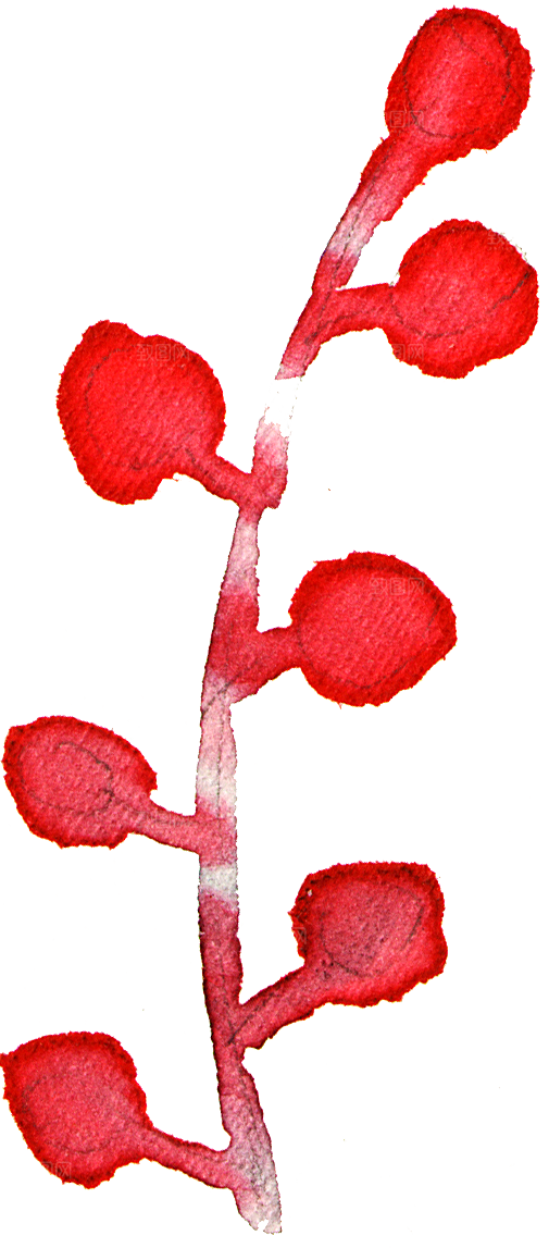 水彩手绘花朵花卉设计素材