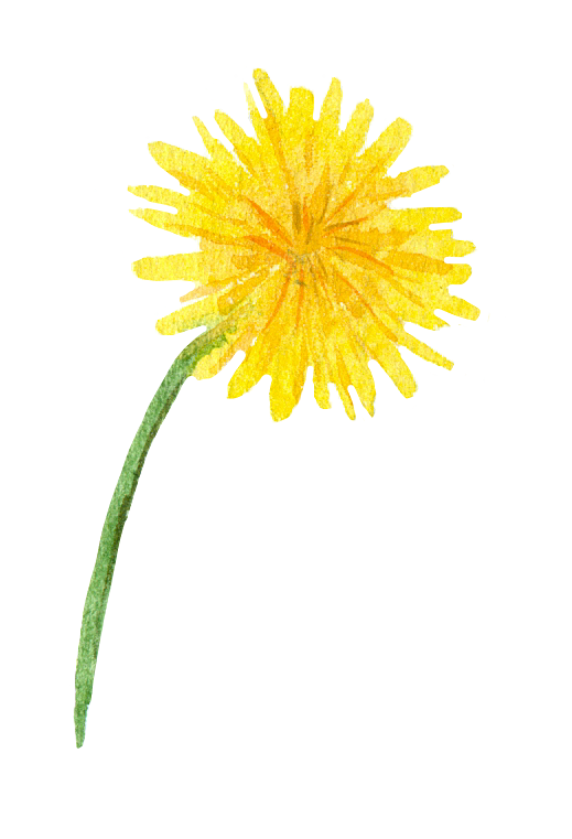 水彩手绘花朵花卉设计素材