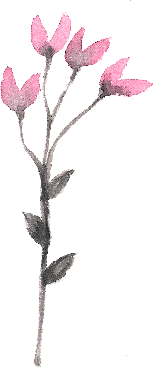 水彩手绘花朵花卉设计素材