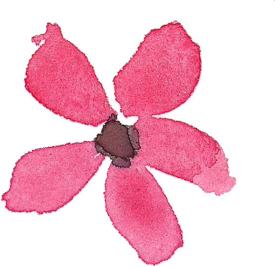水彩手绘花朵花卉设计素材