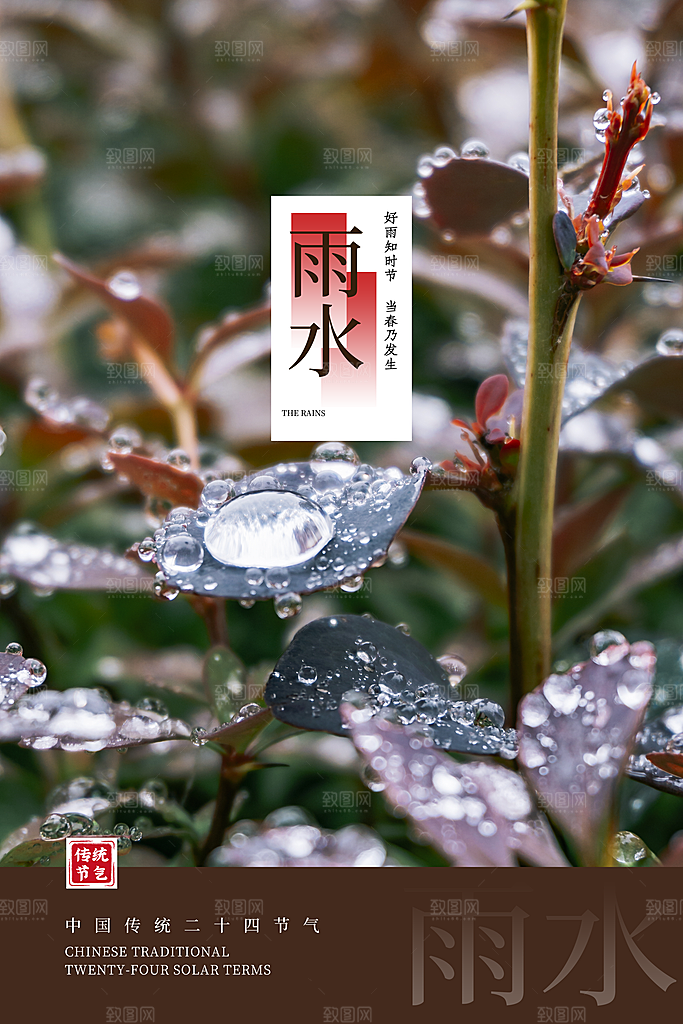 简约风传统二四节气之雨水节气海报