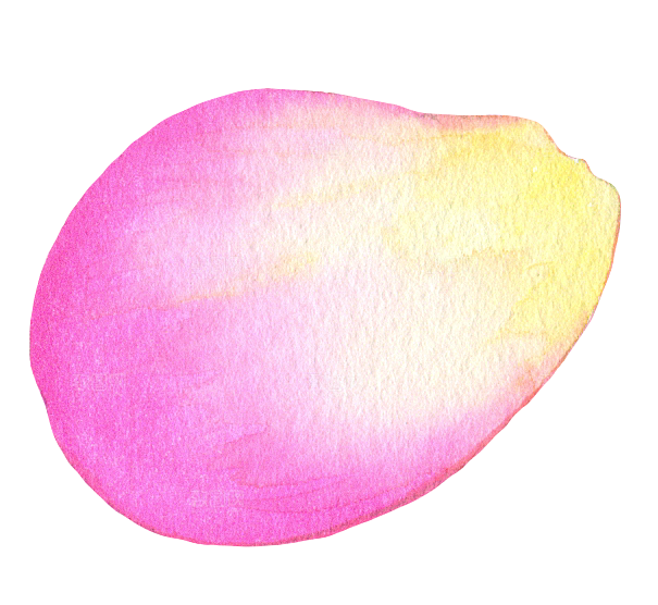 水彩手绘花朵花卉设计素材