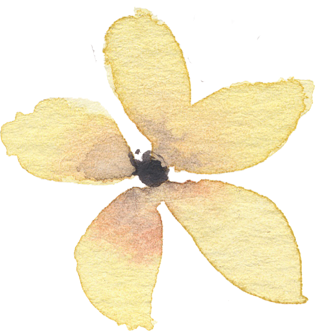 水彩手绘花朵花卉设计素材