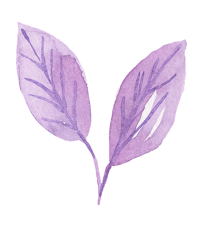 水彩手绘花朵花卉设计素材