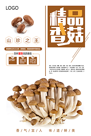香菇蘑菇创意宣传海报