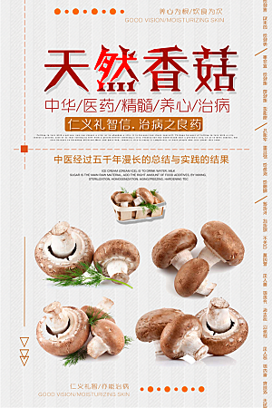香菇菌类广告宣传海报
