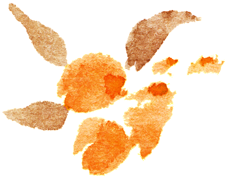 手绘水彩花卉叶子