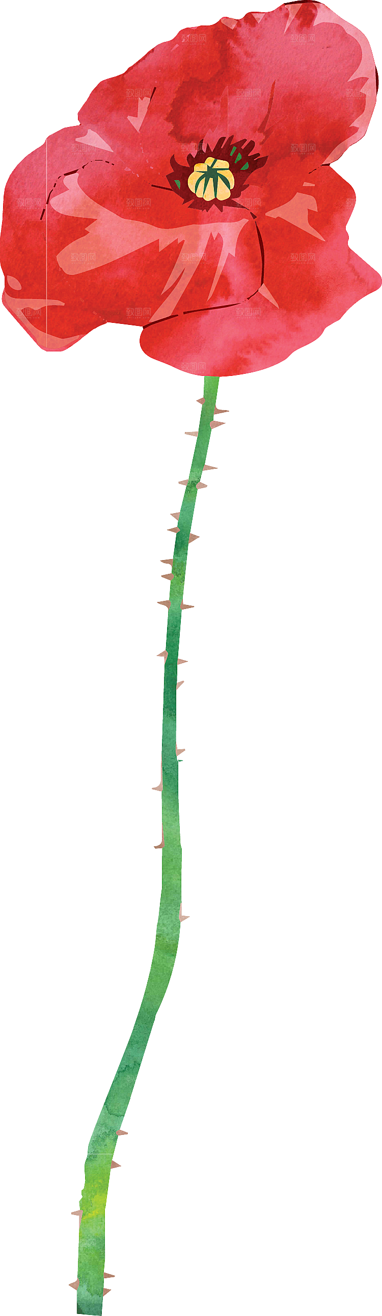 手绘水彩花卉叶子