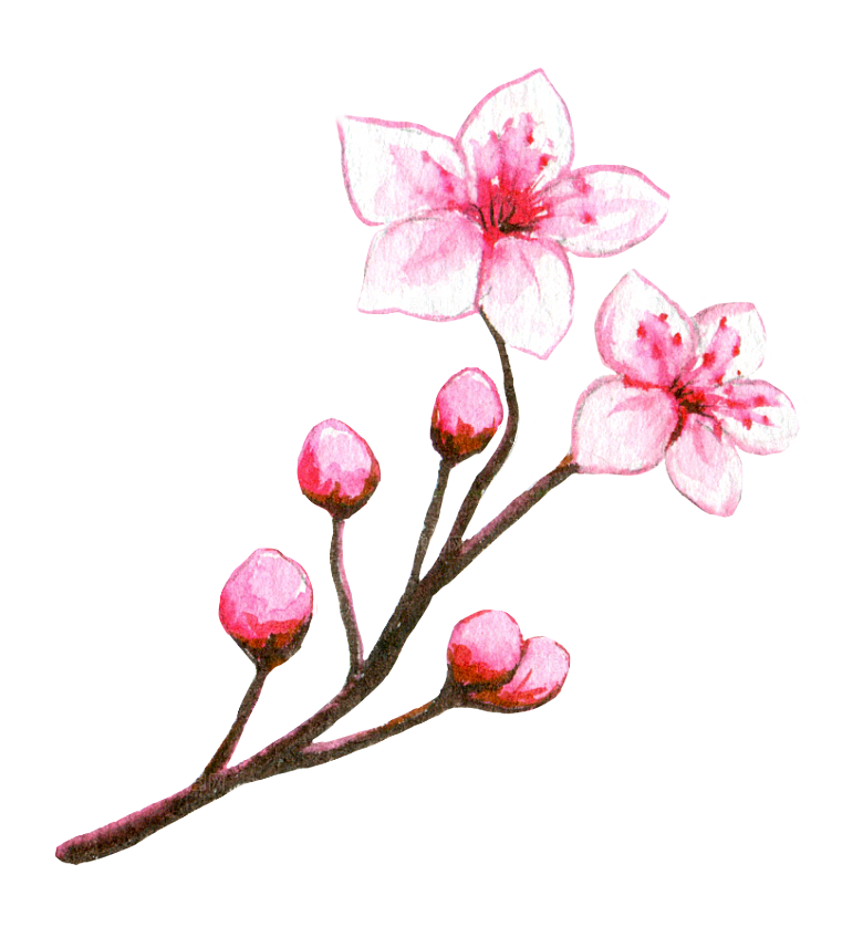 手绘水彩花卉叶子