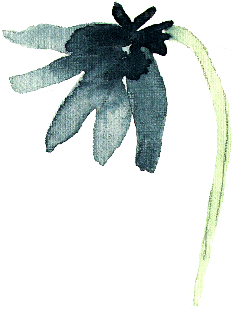 手绘水彩花朵花卉叶子素材