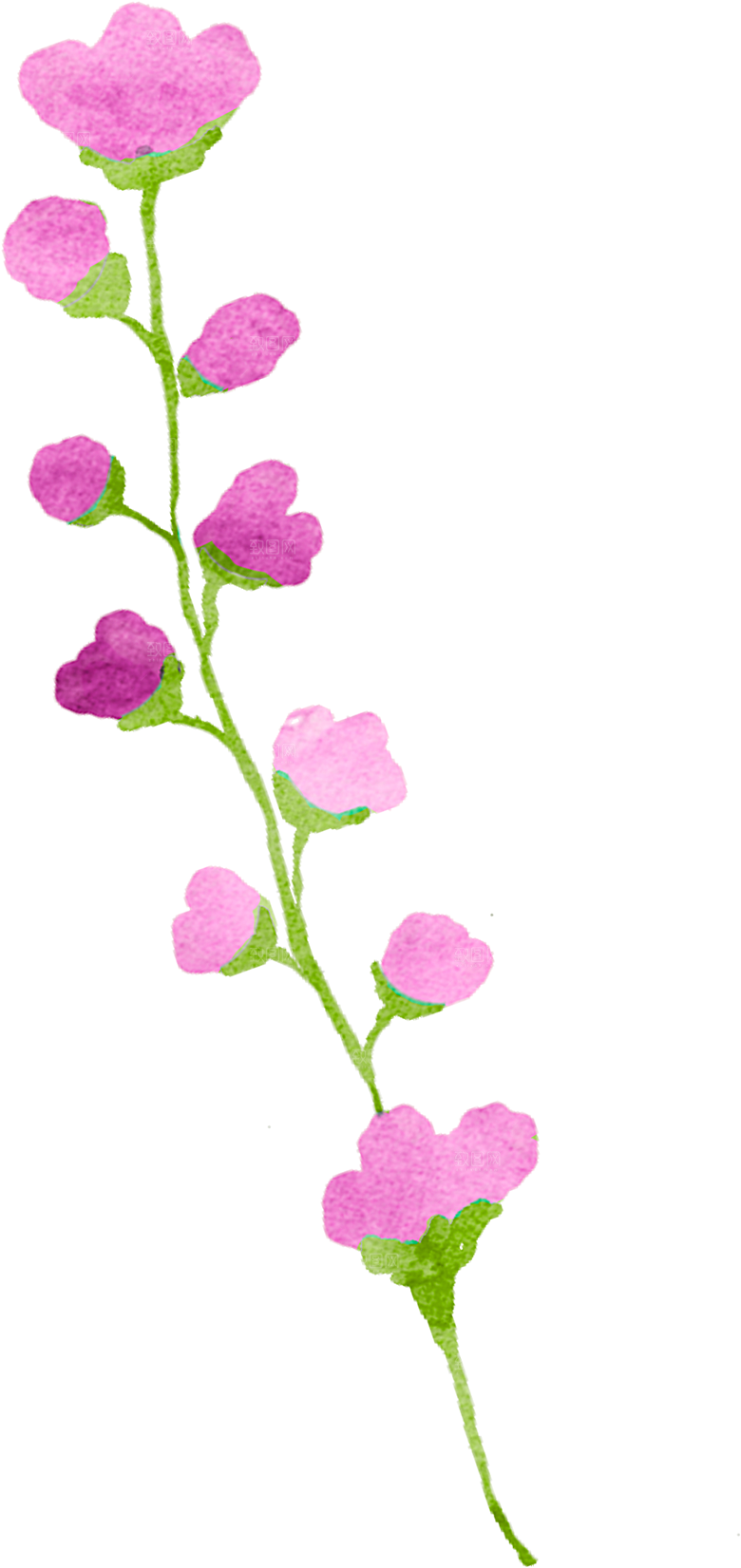 手绘水彩花朵花卉叶子素材