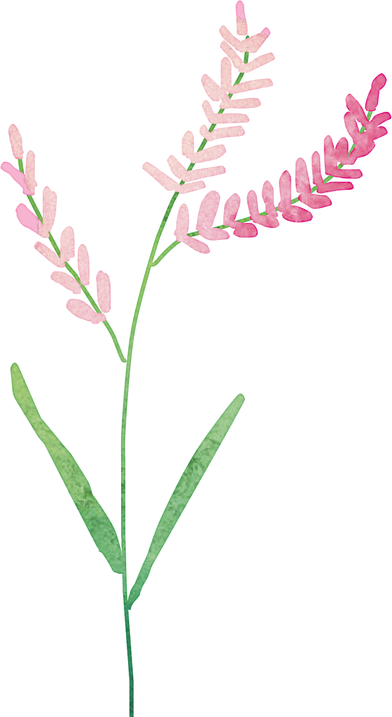 手绘水彩花朵花卉叶子素材