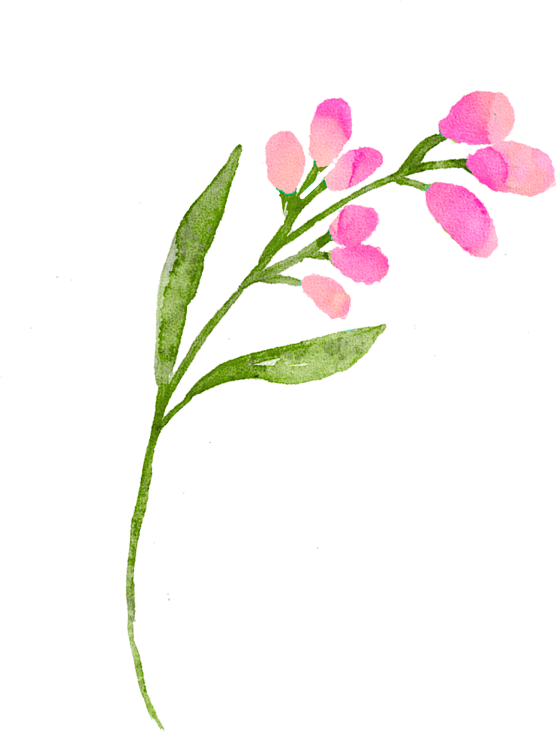 手绘水彩花朵花卉叶子素材