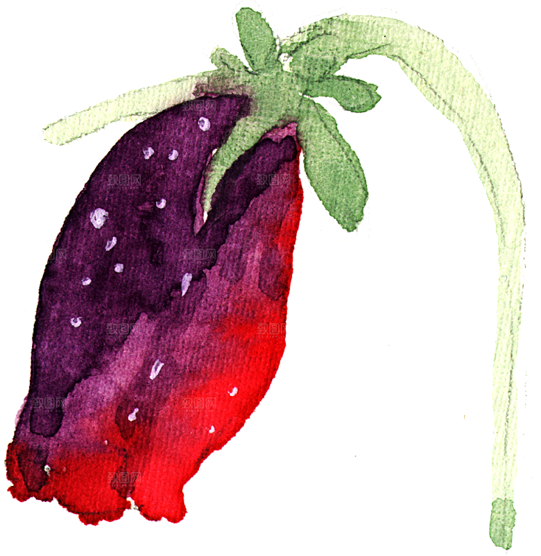 手绘水彩花朵花卉叶子