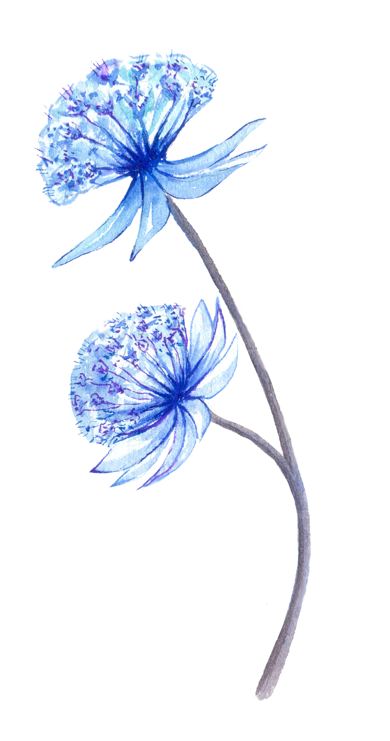 手绘水彩花朵花卉叶子