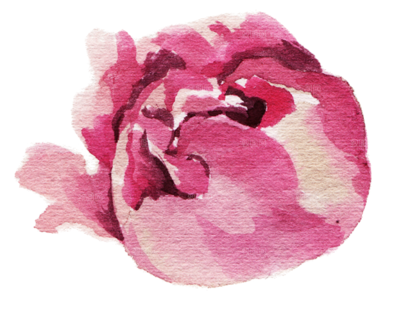 手绘水彩花朵花卉叶子