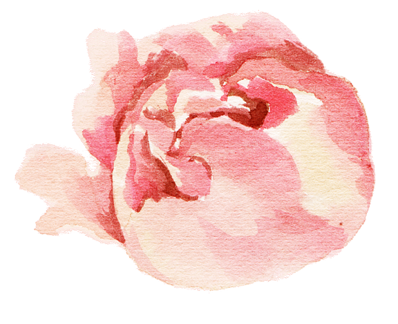 手绘水彩花朵花卉叶子