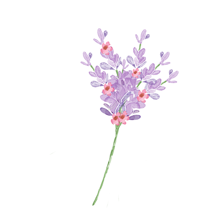 手绘水彩花朵花卉叶子