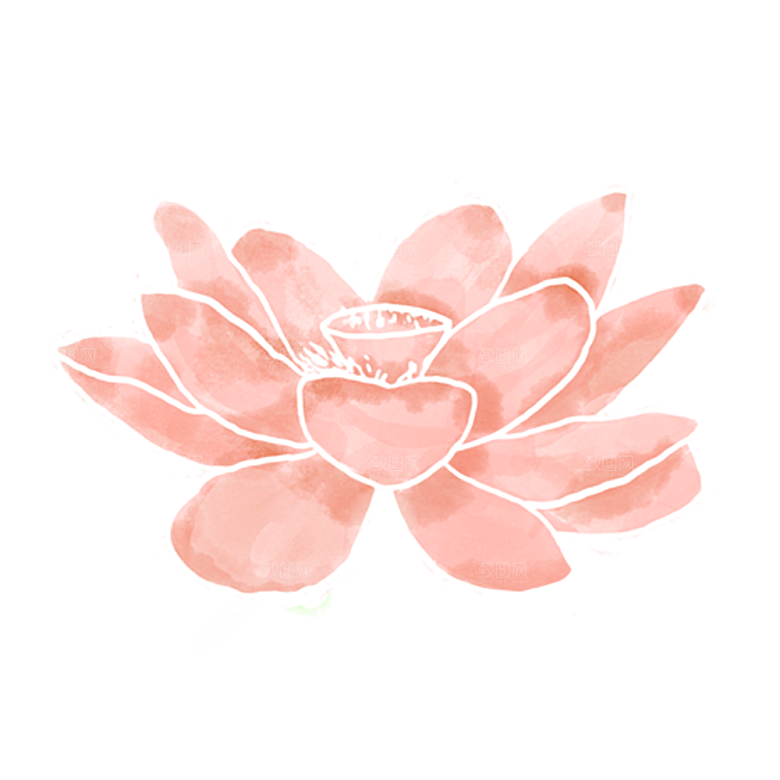手绘水彩花朵花卉叶子