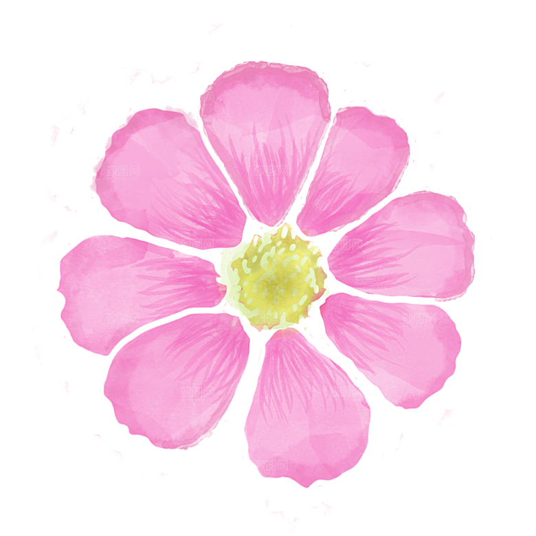 手绘水彩花朵花卉叶子