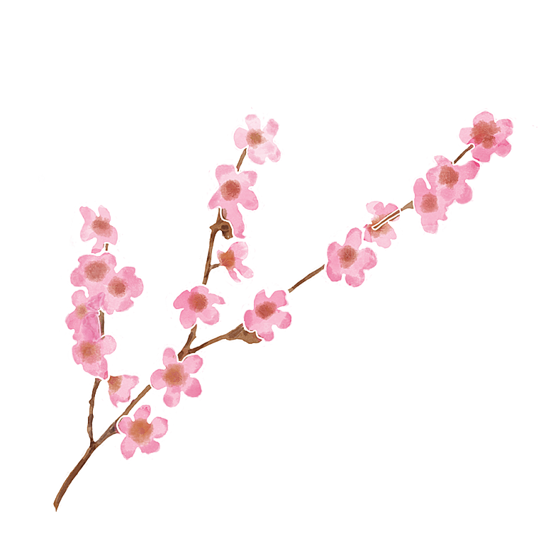 手绘水彩花朵花卉叶子
