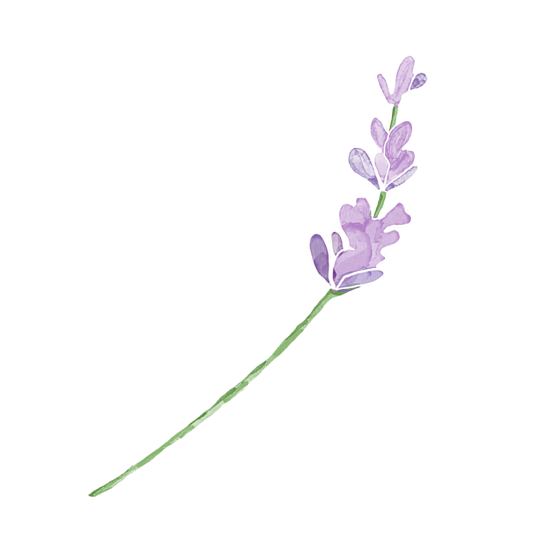 手绘水彩花朵花卉叶子